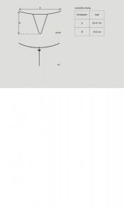 Cocardina_stringi_m0cId_1